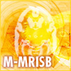マーモセット標準脳